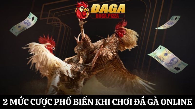 tỷ lệ cược trong đá gà hấp dẫn 