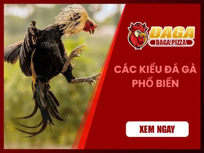 Các kiểu đá gà phổ biến