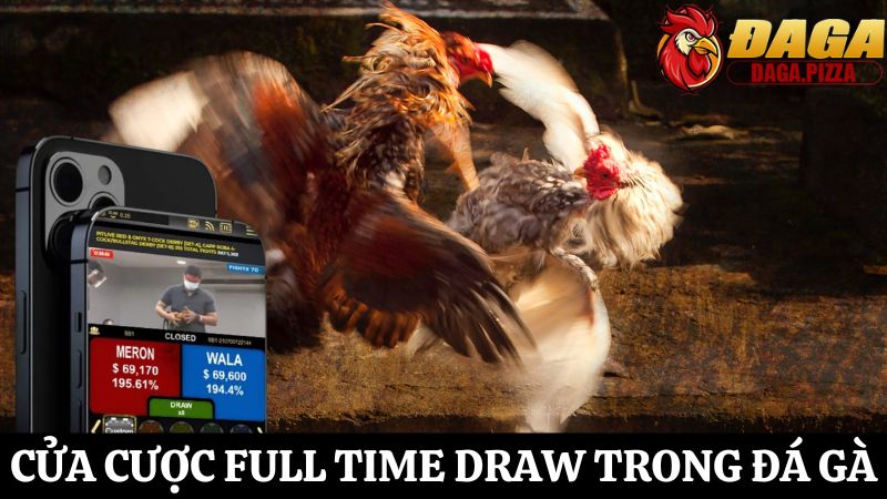 tỷ lệ cược trong đá gà cửa Full Time Draw