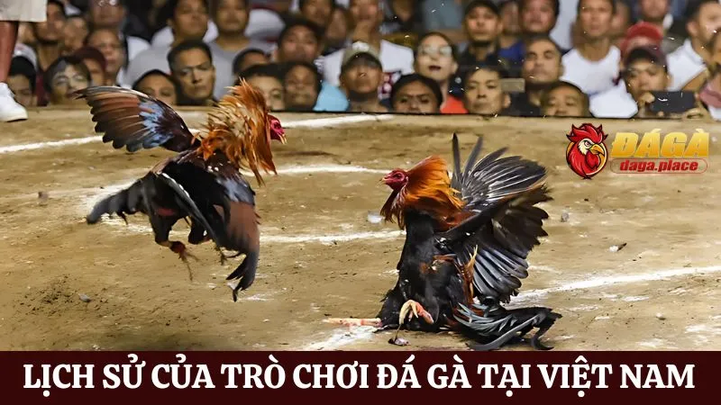 Đá gà và văn hóa dân gian Việt Nam