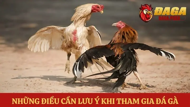 tìm hiểu Các kiểu đá gà phổ biến