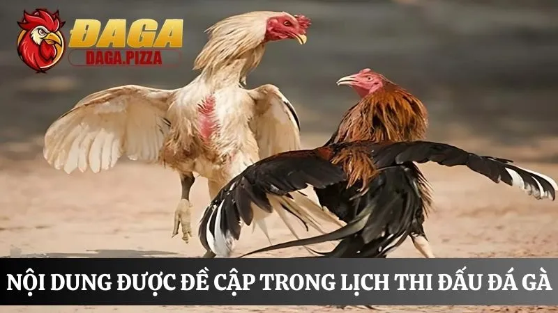 nội dung Lịch thi đấu đá g